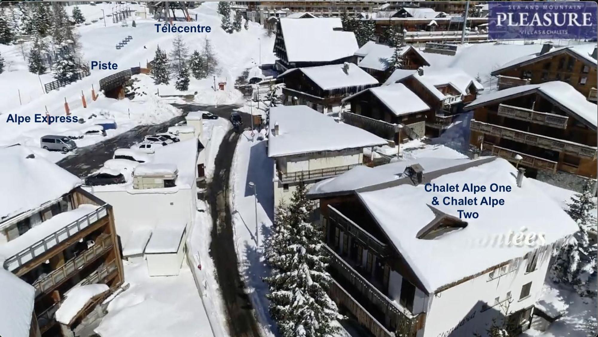 Chalet Alpe D'Huez 1850-Sea And Mountain Pleasure Avec 2 Appartements- 1 Appartement 3 Chambres 8 Couchages - 3 Salles D'Eau Et 1 Appartement 5 Chambres 12 Couchages 5 Salles D'Eau - Jacuzzi Et Sauna -Pieds Des Pistes Et Centre ภายนอก รูปภาพ